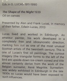 Label for The Shape of the Night